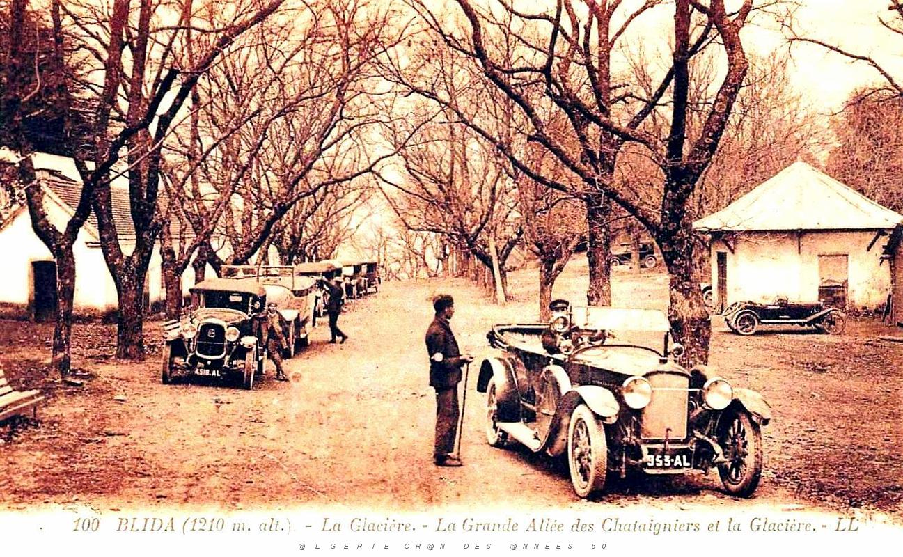 1791- Blida - La Glaciere - Allee des Chataigniers.jpg